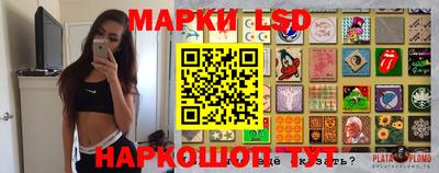 прущие грибы Гатчина