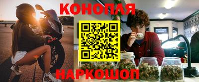 прущие грибы Гатчина
