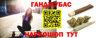 прущие грибы Гатчина