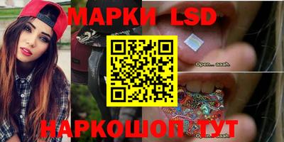 прущие грибы Гатчина