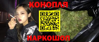 прущие грибы Гатчина