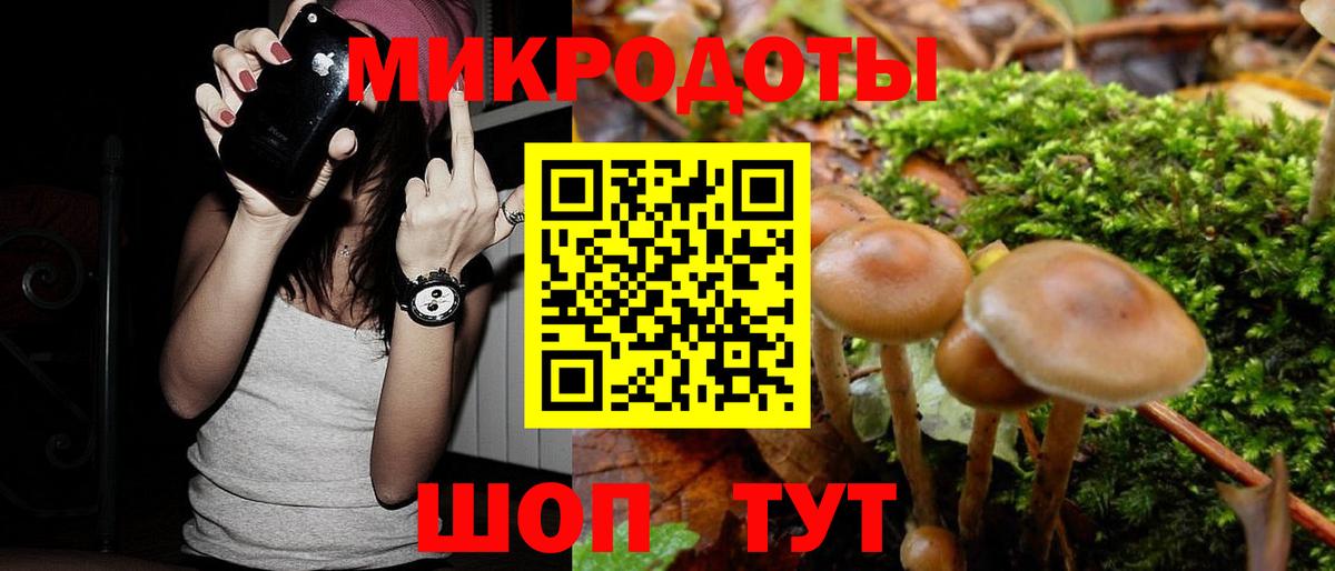 Галлюциногенные грибы Cubensis  Вход с VPN  Мурманск 